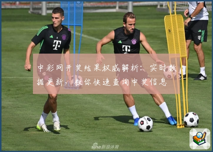 中彩网开奖结果权威解析：实时数据更新，教你快速查询中奖信息