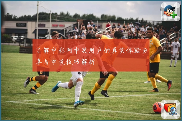 了解中彩网中奖用户的真实体验分享与中奖技巧解析