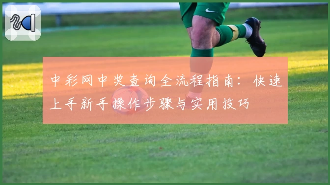 中彩网中奖查询全流程指南：快速上手新手操作步骤与实用技巧