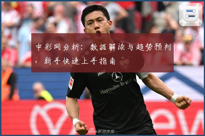 中彩网分析：数据解读与趋势预判，新手快速上手指南