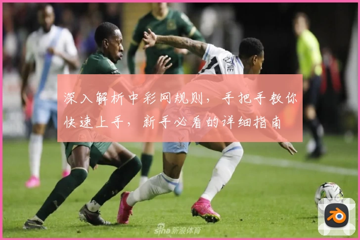 深入解析中彩网规则,手把手教你快速上手,新手必看的详细指南