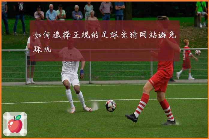 如何选择正规的足球竞猜网站避免踩坑