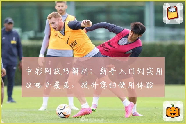 中彩网技巧解析：新手入门到实用攻略全覆盖，提升您的使用体验